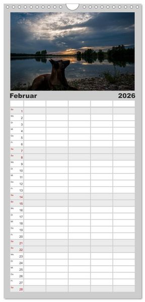 Produktbild: Familienplaner 2026 - Belgische Sch&auml;ferhunde - Der Malinois im Licht mit 5 Spalten (Wandkalender, 21 x 45 cm) CALVENDO