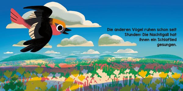Produktbild: Tr&auml;ume der W&auml;lder