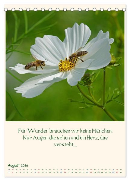 Produktbild: Mit Blumen durchs Jahr (Tischkalender 2026 DIN A5 hoch), CALVENDO Monatskalender
