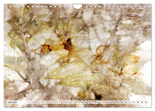 Produktbild: Botanical Printing - Magische Pflanzendrucke (Wandkalender 2027 DIN A4 quer), CALVENDO Monatskalender