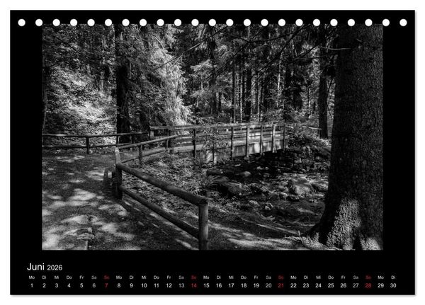 Produktbild: Harz-Bilder in monochrome (Tischkalender 2026 DIN A5 quer), CALVENDO Monatskalender