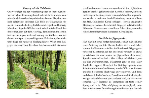 Produktbild: Das kleine Buch: Der Laubbaum