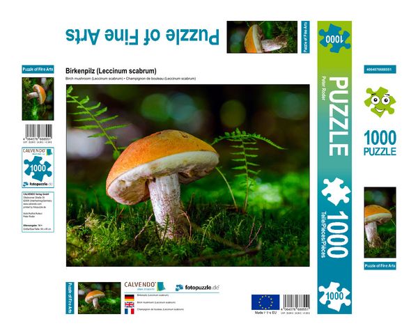 Produktbild: CALVENDO Puzzle Birkenpilz (Leccinum scabrum) 1000 Teile Lege-Gr&ouml;&szlig;e 640 x 480 cm Foto-Puzzle Bild von Peter Roder
