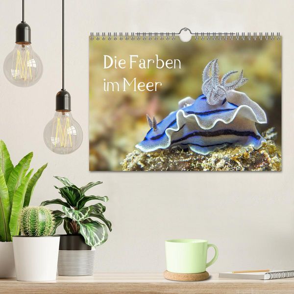 Produktbild: Die Farben im Meer (Wandkalender 2026 DIN A4 quer), CALVENDO Monatskalender
