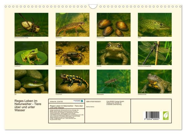 Produktbild: Reges Leben im Naturweiher - Tiere &uuml;ber und unter Wasser (Wandkalender 2027 DIN A3 quer), CALVENDO Monatskalender
