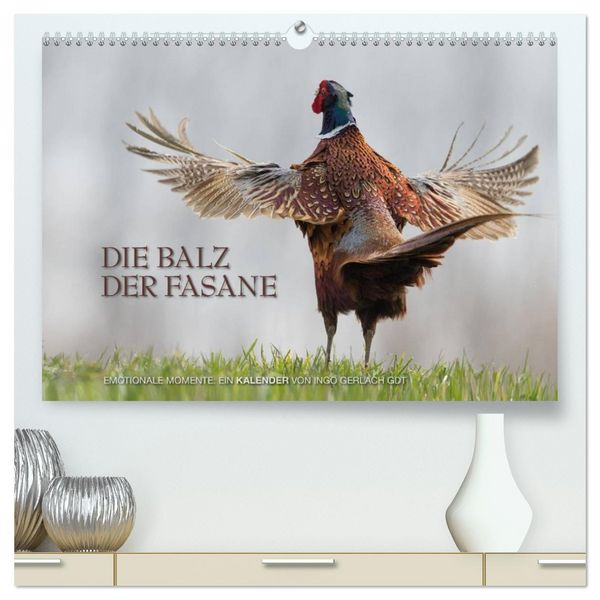 Produktbild: Emotionale Momente: Die Balz der Fasane / CH-Version (hochwertiger Premium Wandkalender 2026 DIN A2 quer), Kunstdruck in Hochglanz