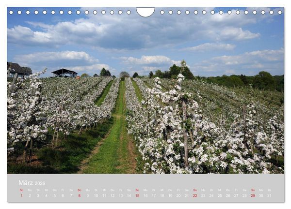 Produktbild: Das Bergische Land - wundersch&ouml;n (Wandkalender 2026 DIN A4 quer), CALVENDO Monatskalender