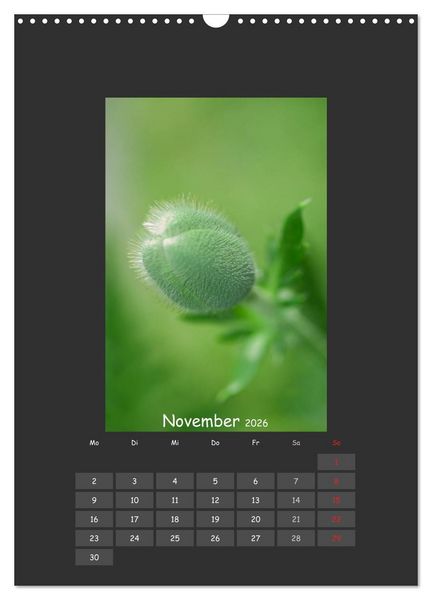 Produktbild: Mohn (Wandkalender 2026 DIN A3 hoch), CALVENDO Monatskalender