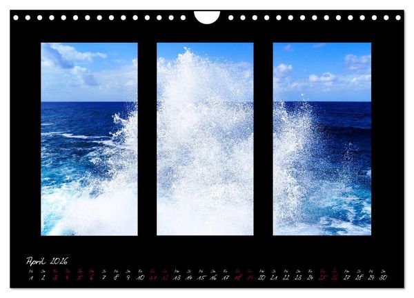 Produktbild: Die Kunst der Natur - Dreifach Stilvoll (Wandkalender 2026 DIN A4 quer), CALVENDO Monatskalender