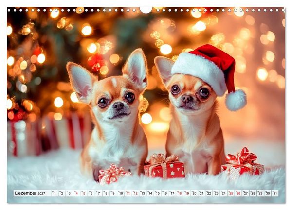 Produktbild: Niedliche Chihuahuas (Wandkalender 2027 DIN A3 quer), CALVENDO Monatskalender