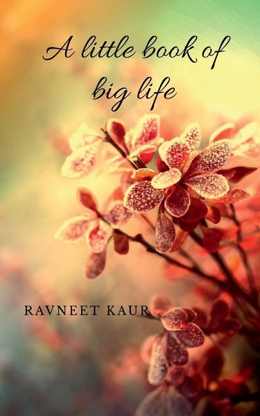 Produktbild: A little book of big life