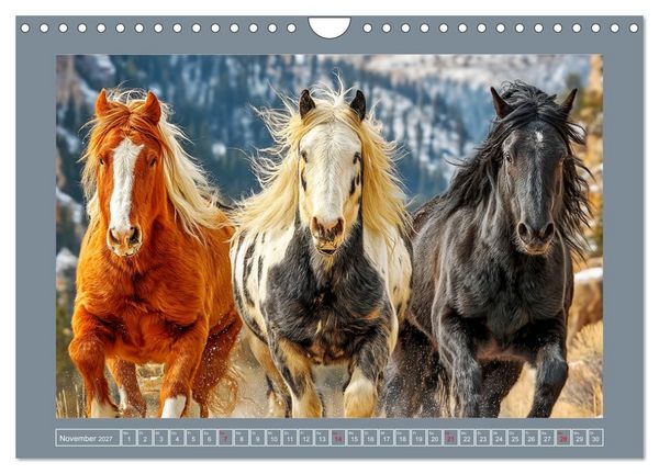 Produktbild: Mustangs. Pferde in ihrer wildesten Sch&ouml;nheit (Wandkalender 2027 DIN A4 quer), CALVENDO Monatskalender