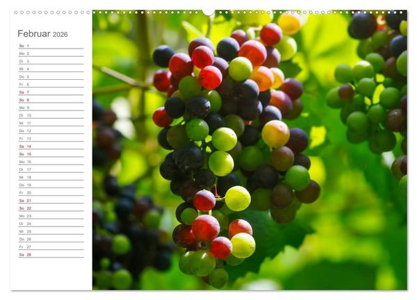 Produktbild: Wein (hochwertiger Premium Wandkalender 2026 DIN A2 quer), Kunstdruck in Hochglanz
