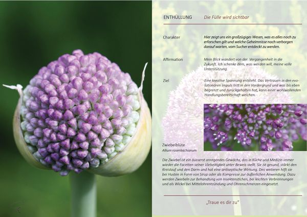 Produktbild: Imaginationen