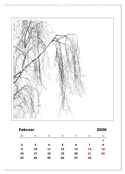 Produktbild: LignoGrafica - Muster und Strukturen der B&auml;ume (Wandkalender 2026 DIN A2 hoch), CALVENDO Monatskalender