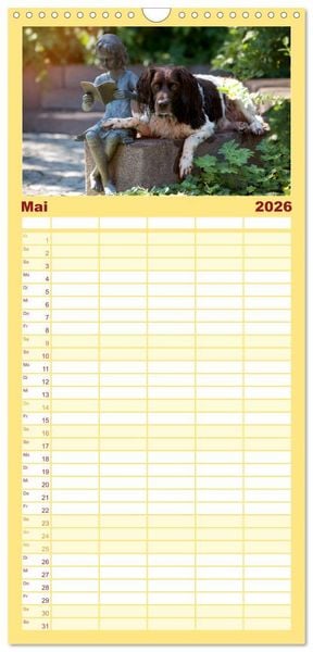 Produktbild: Familienplaner 2026 - Passion Jagdhund - Kleiner M&uuml;nsterl&auml;nder mit 5 Spalten (Wandkalender, 21 x 45 cm) CALVENDO