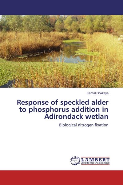 Produktbild: Response of speckled alder to phosphorus addition in Adirondack wetlan