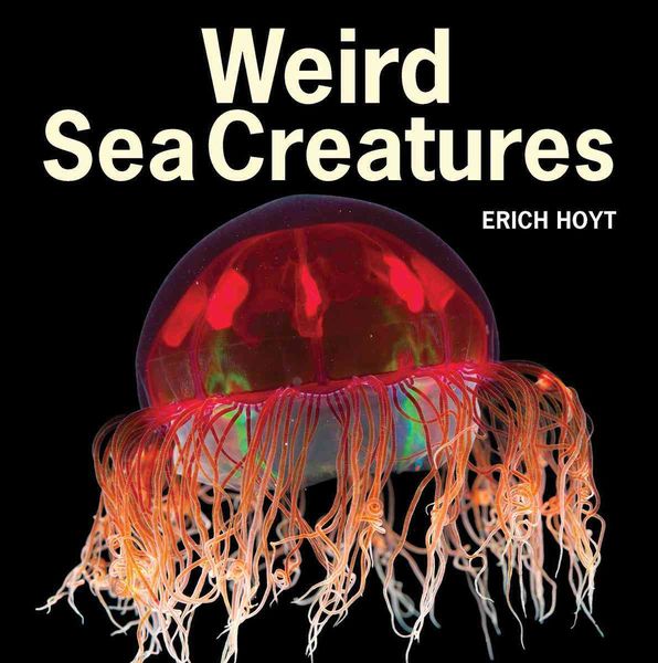 Produktbild: Weird Sea Creatures