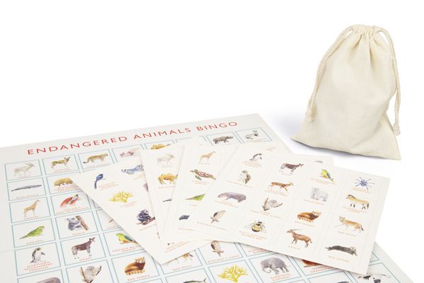 Produktbild: Endangered Animals Bingo