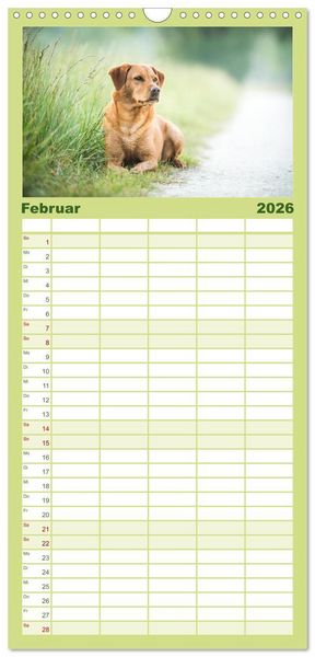 Produktbild: Familienplaner 2026 - Faszination Labrador - gelb, foxred, schwarz mit 5 Spalten (Wandkalender, 21 x 45 cm) CALVENDO
