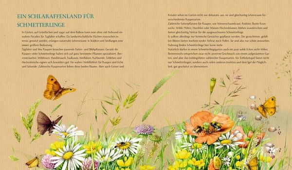 Produktbild: Schmetterling, Hummel und Maik&auml;fer