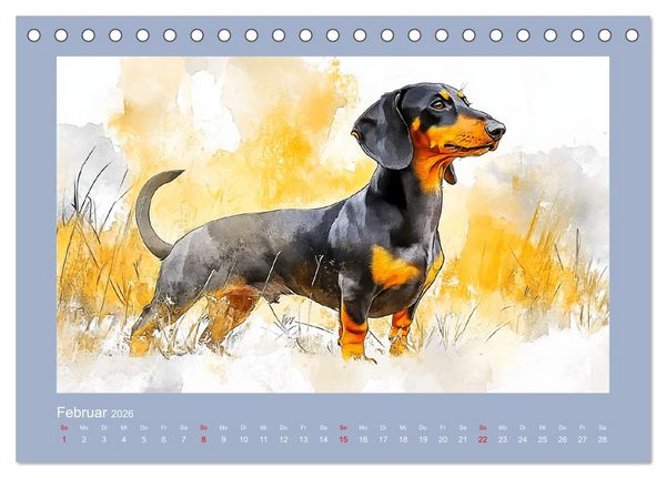 Produktbild: Dackelzauber. Charmante Begleiter im lieblichen Aquarell-Stil (Tischkalender 2026 DIN A5 quer), CALVENDO Monatskalender