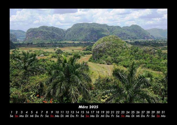 Produktbild: B&auml;ume 2025 Fotokalender DIN A3