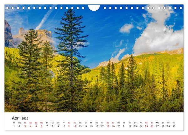 Produktbild: W&auml;lder: die letzte Zuflucht f&uuml;r die Wildnis (Wandkalender 2026 DIN A4 quer), CALVENDO Monatskalender