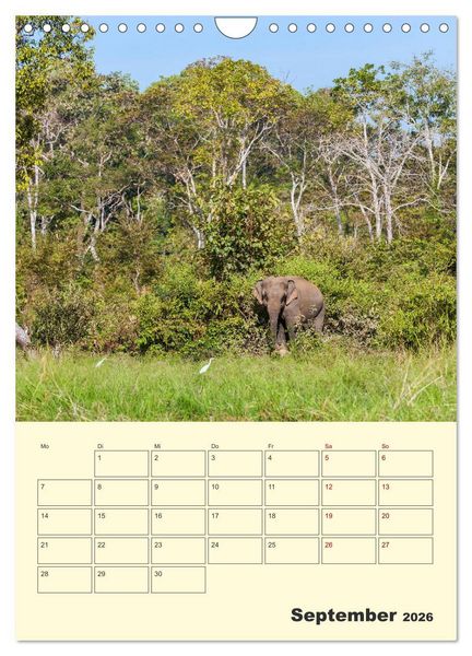 Produktbild: ELEFANTEN - Asiens graue Riesen (Wandkalender 2026 DIN A4 hoch), CALVENDO Monatskalender