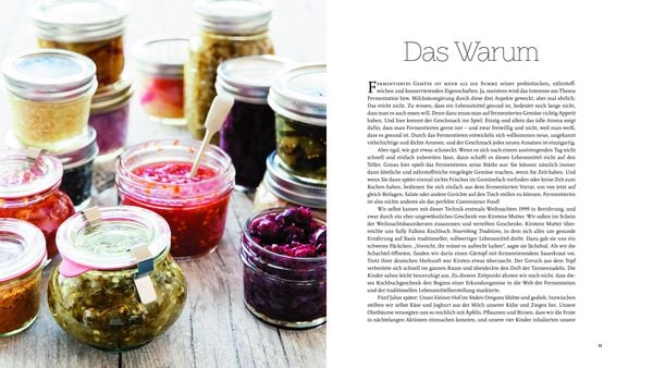 Produktbild: Fermentieren