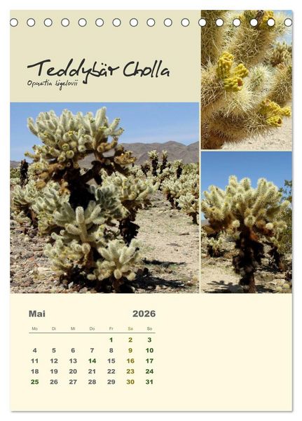 Produktbild: Kakteen der US-S&uuml;dweststaaten (Tischkalender 2026 DIN A5 hoch), CALVENDO Monatskalender