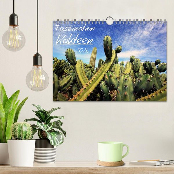 Produktbild: Faszination Kakteen (Wandkalender 2026 DIN A4 quer), CALVENDO Monatskalender