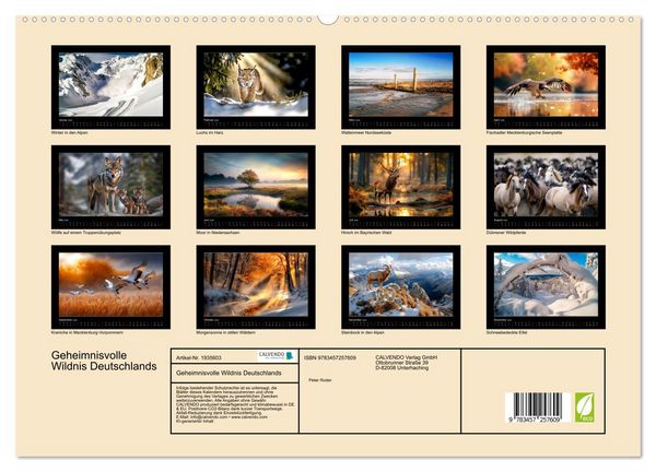 Produktbild: Geheimnisvolle Wildnis Deutschlands (hochwertiger Premium Wandkalender 2026 DIN A2 quer), Kunstdruck in Hochglanz