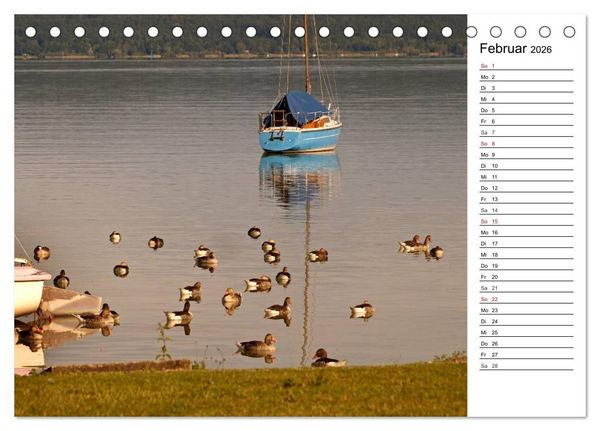 Produktbild: Seest&auml;rke - Der Ammersee (Tischkalender 2026 DIN A5 quer), CALVENDO Monatskalender