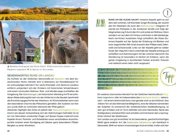 Produktbild: Wochenend und Wohnmobil - Kleine Auszeiten in der Pfalz