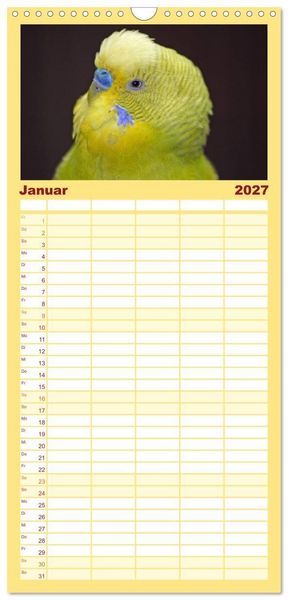 Produktbild: Familienplaner 2027 - Wellensittiche - Gefiederte Freunde mit 5 Spalten (Wandkalender, 21 x 45 cm) CALVENDO
