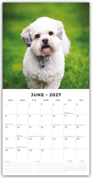 Produktbild: Lhasa Apsos &ndash; Lhasa Apso 2027 &ndash; 16-Monatskalender
