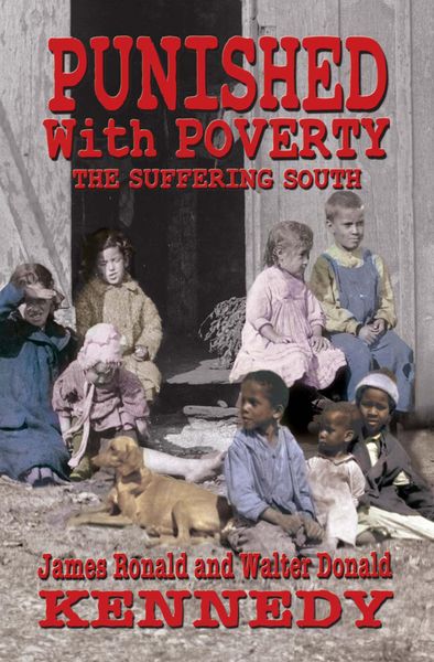 Produktbild: Punished with Poverty: The Suffering South