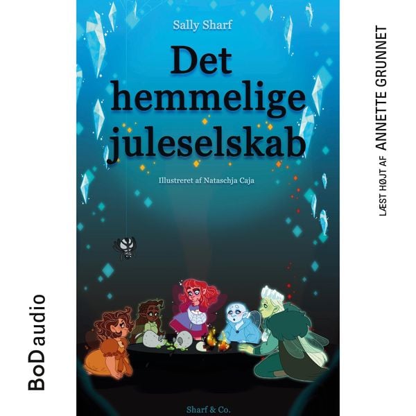 Produktbild: Det hemmelige juleselskab