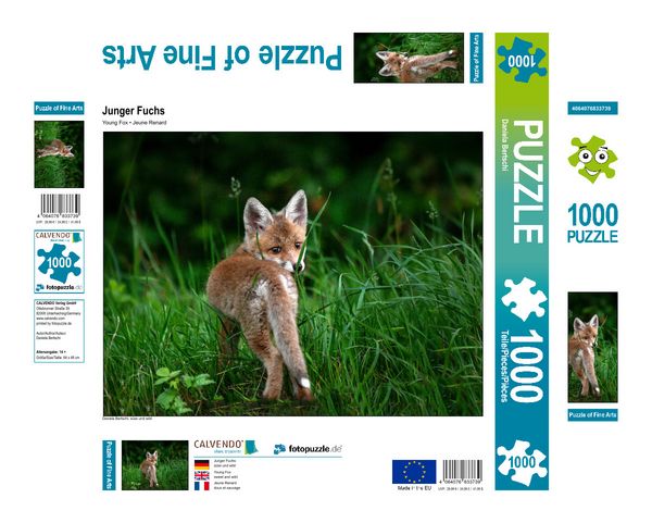 Produktbild: CALVENDO Puzzle Junger Fuchs, Schinznach-Bad | 1000 Teile Lege-Gr&ouml;&szlig;e 64x48cm Foto-Puzzle f&uuml;r gl&uuml;ckliche Stunden