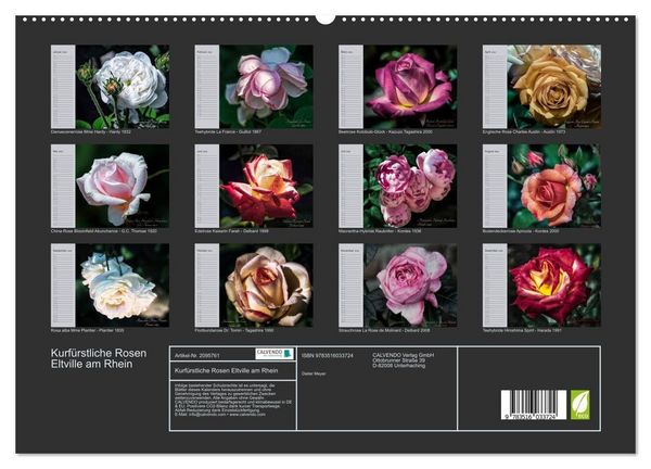 Produktbild: Kurf&uuml;rstliche Rosen Eltville am Rhein (hochwertiger Premium Wandkalender 2026 DIN A2 quer), Kunstdruck in Hochglanz