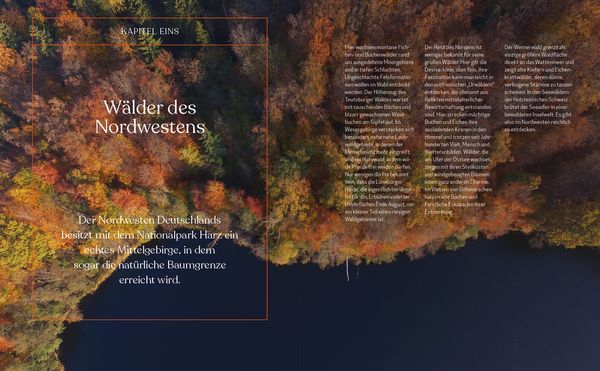 Produktbild: Wild Guide Deutsche W&auml;lder