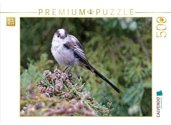 CALVENDO Puzzle Schwanzmeise | 500 Teile Lege-Größe 48 × 36 cm Foto-Puzzle für Erwachsene