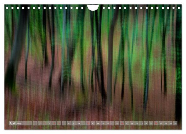 Produktbild: Atelier Wald - gemalt mit Licht (Wandkalender 2026 DIN A4 quer), CALVENDO Monatskalender