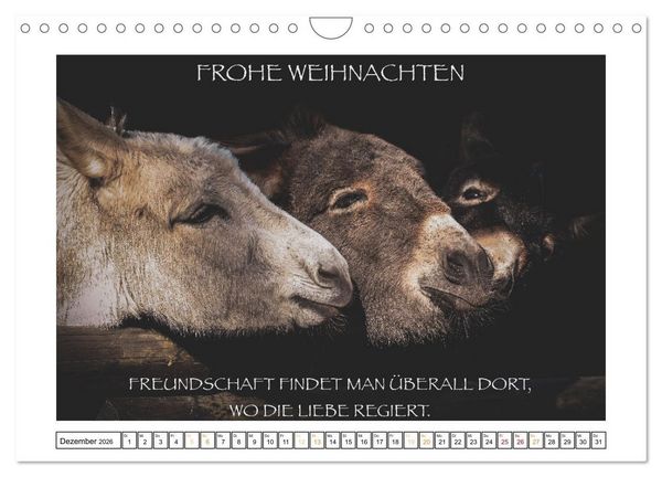 Produktbild: Spruch verliebt (Wandkalender 2026 DIN A4 quer), CALVENDO Monatskalender