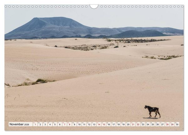 Produktbild: Fuerteventura Sand und bunte Farben (Wandkalender 2026 DIN A3 quer), CALVENDO Monatskalender