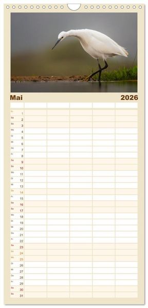 Produktbild: Familienplaner 2026 - S&uuml;dafrika wunderbare Tierwelt mit 5 Spalten (Wandkalender, 21 x 45 cm) CALVENDO