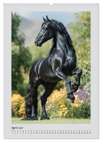Produktbild: Friesenpferde. Schwarze Eleganz in der Natur (hochwertiger Premium Wandkalender 2027 DIN A2 hoch), Kunstdruck in Hochglanz