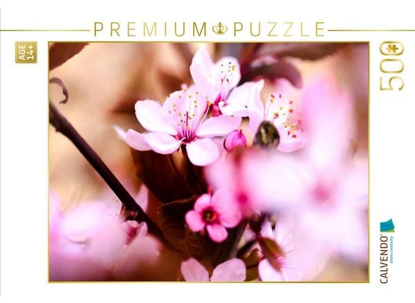 CALVENDO Puzzle Kirschblüten | 500 Teile Lege-Größe 48 × 36 cm Foto-Puzzle für Erwachsene