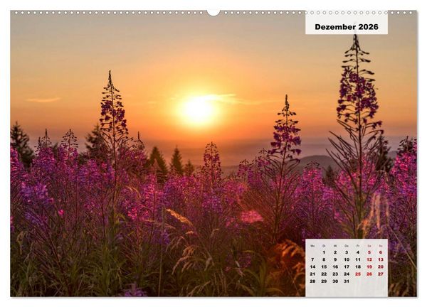 Produktbild: Rh&ouml;ner R&ouml;schen - ein Sommerm&auml;rchen in der Hochrh&ouml;n (Wandkalender 2026 DIN A2 quer), CALVENDO Monatskalender